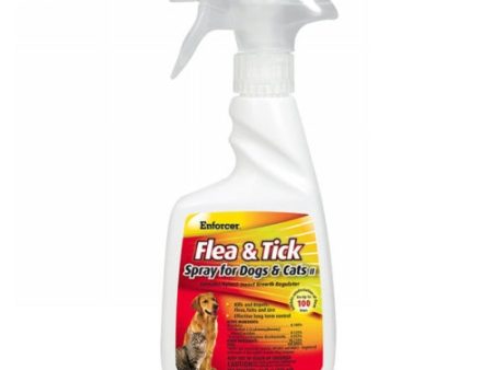 Enforcer Flea & Tick Spray for Dogs and Cats II 16 Oz by Enforcer Hot on Sale