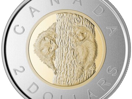 2015 Raccoons Canada Two Dollar Specimen For Cheap