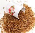 Happy Hen Treats Dried Mealworms 11lbs Online