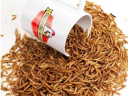 Happy Hen Treats Dried Mealworms 11lbs Online