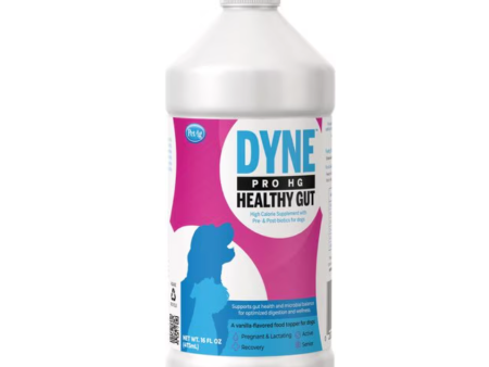 Dyne Healthy Gut Hot on Sale