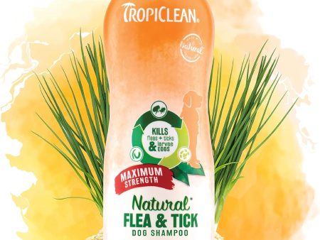 TropiClean Maximum Strength Natural Flea and Tick Dog Shampoo for Flea and Tick Prevention for Dogs Discount